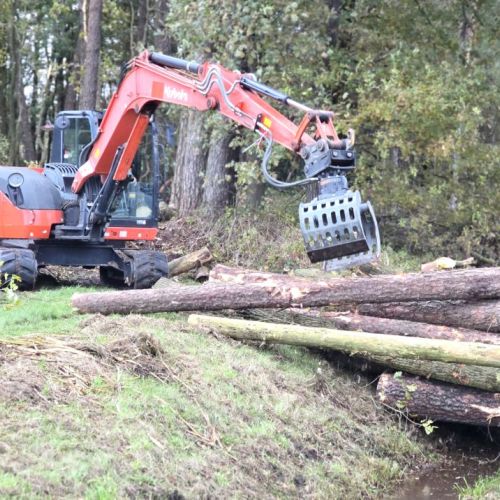 schade-gartenbau-ladbergen-holzarbeiten-baumfaellung-waldrodung-gehoelzschnitt-2.jpg